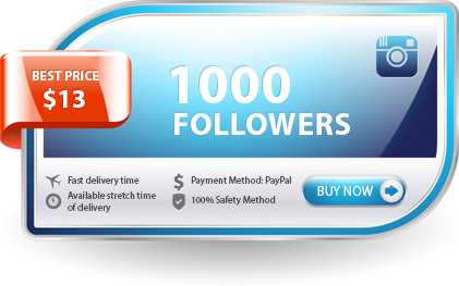buy 1000 instagram followers fast delivery